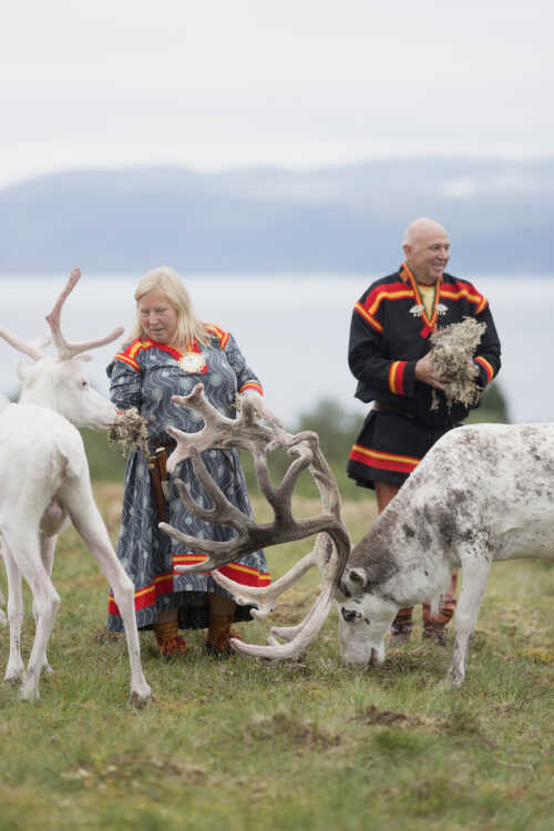 Laila og Arild Inga sammen med rein i landskapet