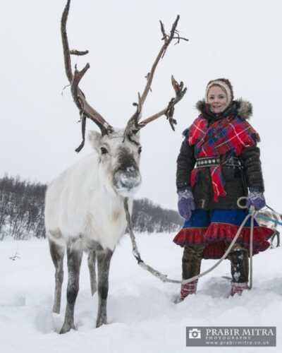 Woman in Sami clothing with reindeer.