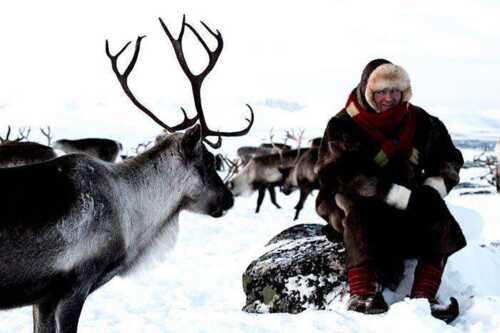 Samisk mann med reinsdyr