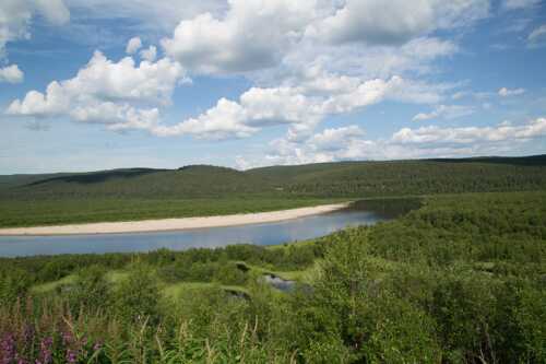 Bilde av elva Karasjohka på sommeren