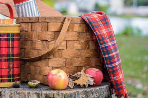 Picnic basket with thermos, apples and checkered blankets.