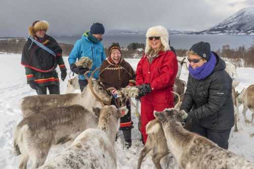 Guests greeting reindeer
