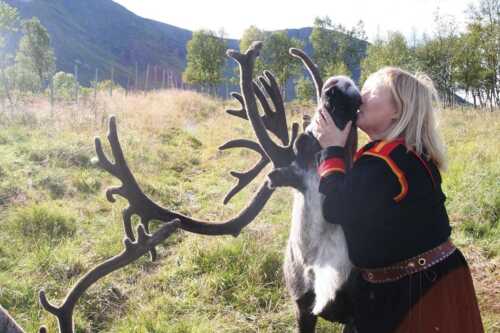 Laila kissing reindeer