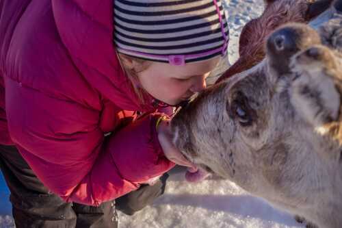 Girl kissing reindeer