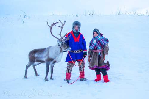 Vertskap i samisk kofter med reinsdyr i snøen,