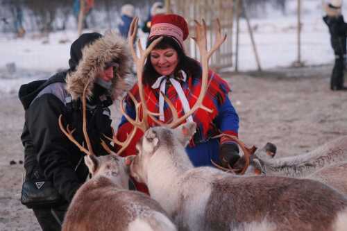 Samisk vertinne og gjest sammen med reinsdyr